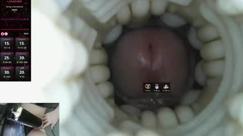 xoxowtf online show from 03.09.26