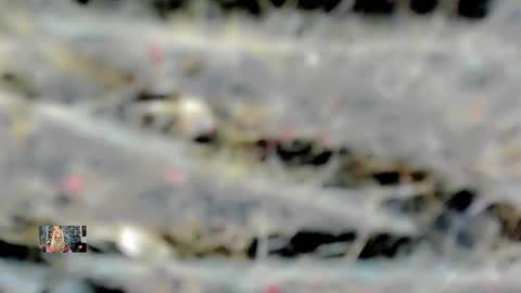 Snapshot of xthesexyboyx chatting on 02.16.25 Femboy Exotic online show from 02.16.25