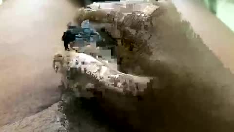 Jhon online show from 03.12.26