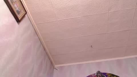 isa and gonzo online show from 12.20.24