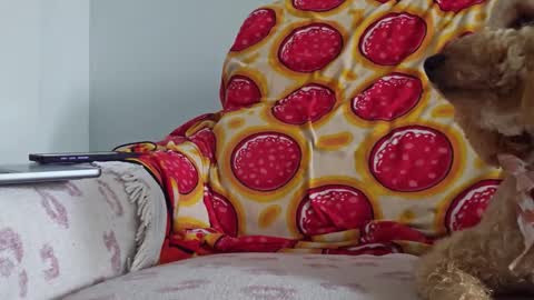 TonyDoesMiami online show from 01.26.25