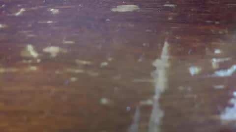 Snapshot of yagishirafe chatting on 11.13.25 yagishirafe online show from 11.13.25