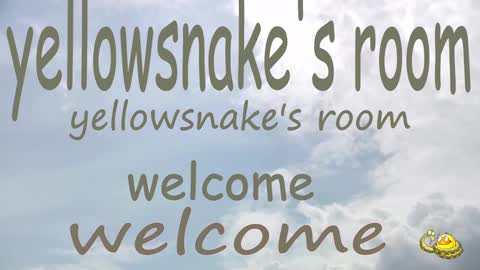 .     y e l l o w s n a k e s       . online show from 09.30.25