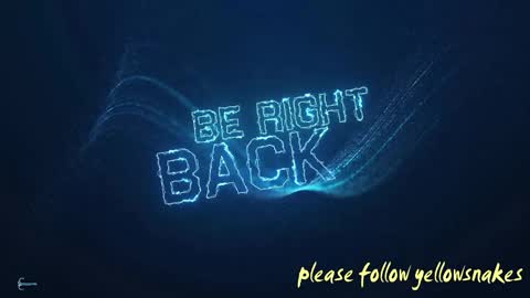 .     y e l l o w s n a k e s       . online show from 10.10.25