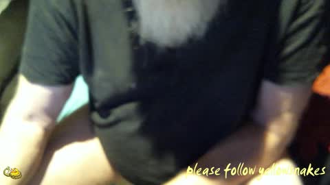 .     y e l l o w s n a k e s       . online show from 10.20.25