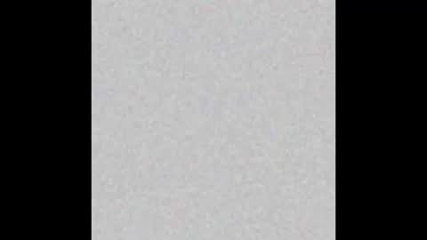 .     y e l l o w s n a k e s       . online show from 11.20.25