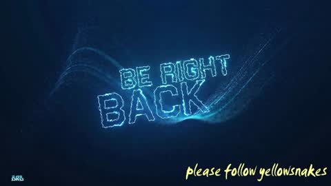 .     y e l l o w s n a k e s       . online show from 12.05.25