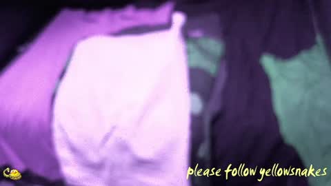 .     y e l l o w s n a k e s       . online show from 12.17.25