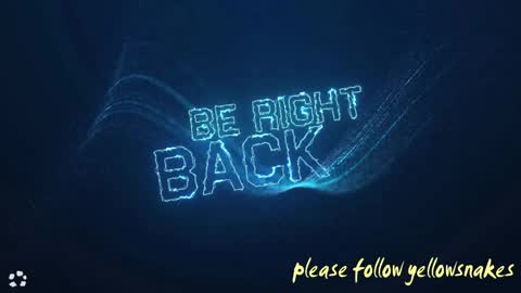 .     y e l l o w s n a k e s       . online show from 02.07.26