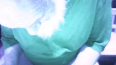 .     y e l l o w s n a k e s       . online show from 02.16.26