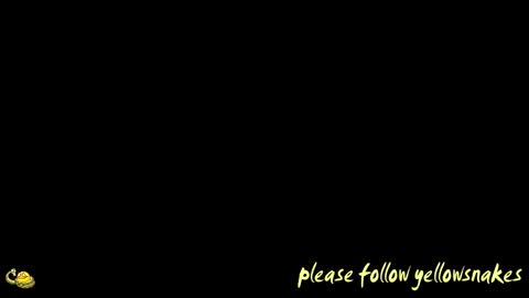 .     y e l l o w s n a k e s       . online show from 03.19.26