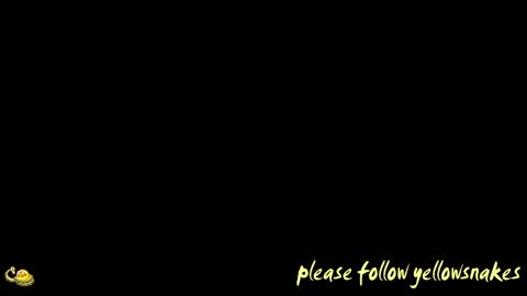 .     y e l l o w s n a k e s       . online show from 04.15.26