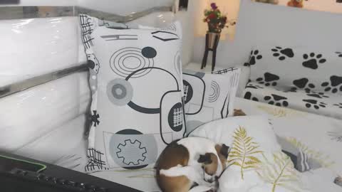 YINAROSS online show from 03.27.26