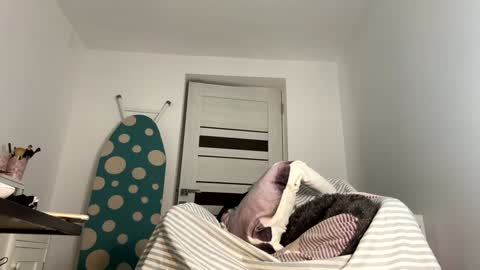 Snapshot of you_love_melisa chatting on 01.09.25 private on 18 per minute start private 500 tokensOnlyfans online show from 01.09.25