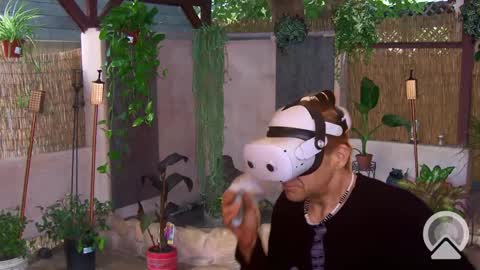 Sophiestar online show from 03.01.25