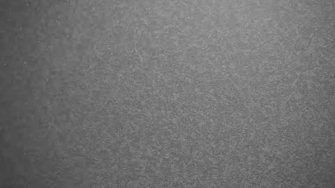 Meri  online show from 02.13.25