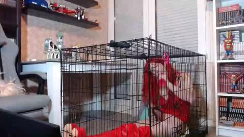 Owned by Hell On Heels online show from 02.20.26