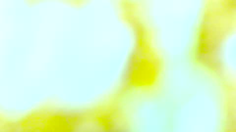 Snapshot of yourmynorthstar chatting on 10.13.25 Edging4U online show from 10.13.25