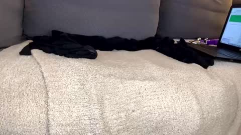 Alison online show from 01.05.25