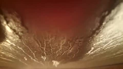 youth505 online show from 12.05.25