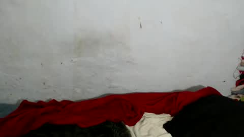 yummytittsxx online show from 03.02.26