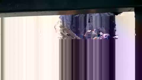 Snapshot of yungcockk444 chatting on 10.08.25 hungggg online show from 10.08.25