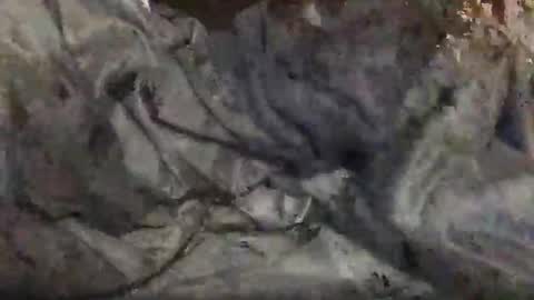 yungin470 online show from 02.25.26