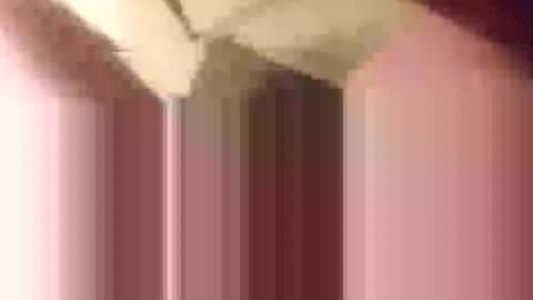 yupthatshim online show from 11.12.25