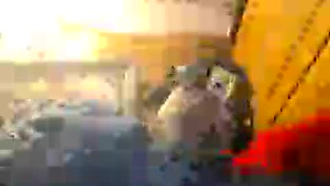 Snapshot of z0rl0c chatting on 08.01.26 Z0RL0C online show from 08.01.26