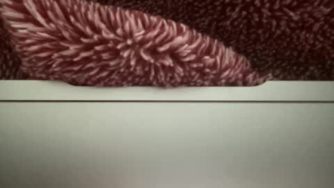 z95141 online show from 10.22.25