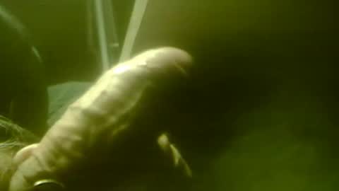 zaboski4 online show from 12.01.25