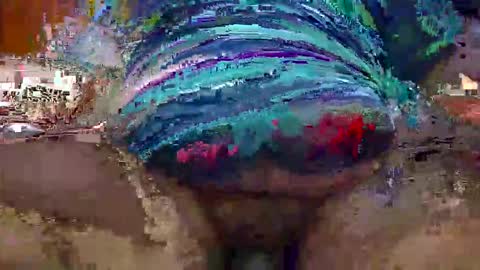 Zack online show from 01.12.26