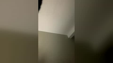 Zack online show from 03.06.26