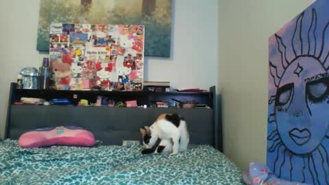 Snapshot of zaddyslilslutbucket chatting on 09.13.25 zaddyslilslutbucket online show from 09.13.25