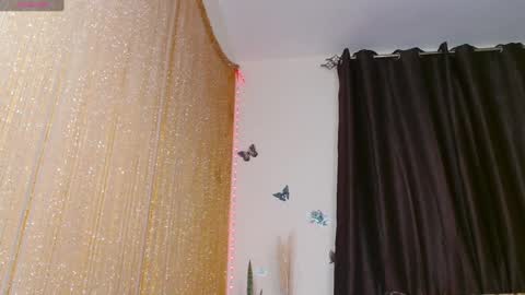 Snapshot of zara_lae chatting on 01.03.25 nicky online show from 01.03.25