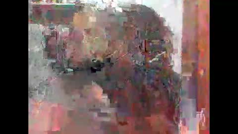 Zatth online show from 02.14.26