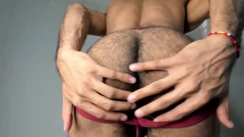 zayn 3 online show from 01.12.26