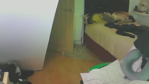 Snapshot of zedbooy chatting on 12.28.24 Zed online show from 12.28.24