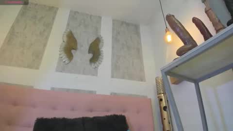 ZHAMIRA  ANDRES online show from 02.11.26