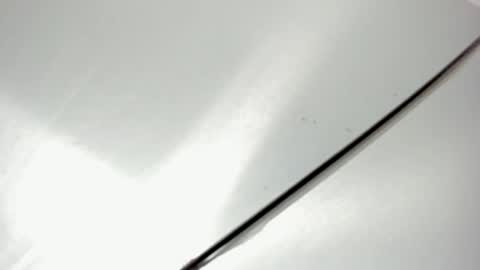 zia online show from 02.20.26