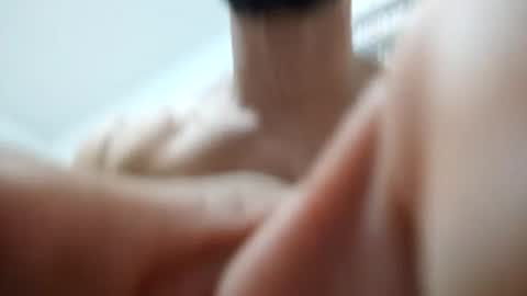 Snapshot of zigfrid666 chatting on 06.17.26 zigfrid666 online show from 06.17.26