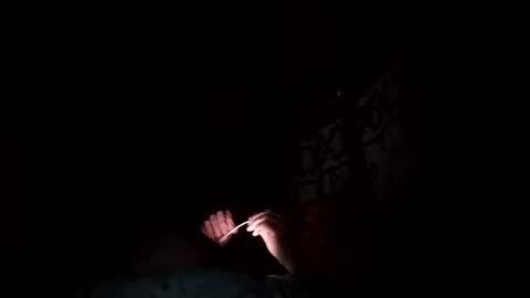 zigor13 online show from 02.24.26