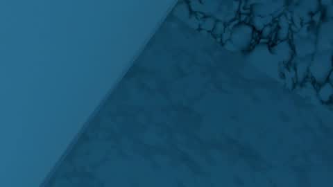 Zoe online show from 12.11.24