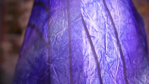 zoey fox  online show from 04.08.26