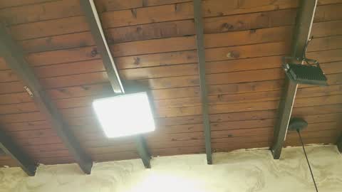 zoley  online show from 10.06.25