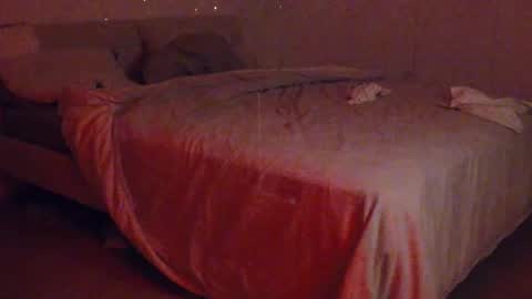 Snapshot of zoomdue chatting on 11.09.25 Velesk online show from 11.09.25