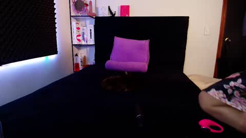 zpzphot online show from 02.14.26