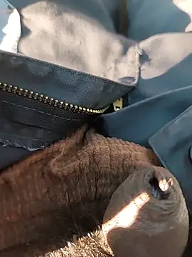 Nishu12356g online show from 09.20.25