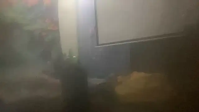 Fr4nk1eFFuxxx online show from 03.14.26