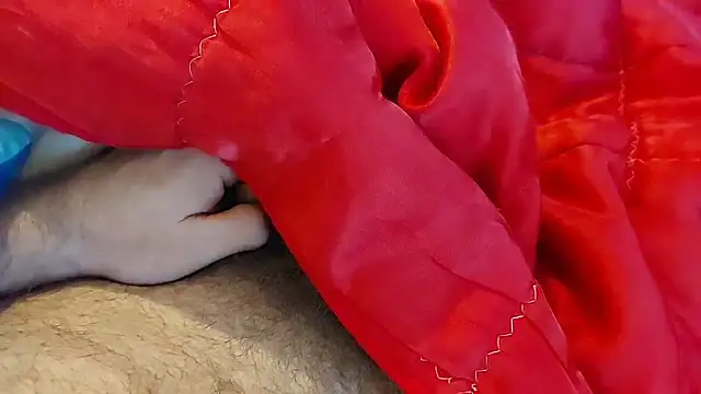 Snapshot of Ettarak chatting on 02.08.26 Ettarak online show from 02.08.26